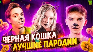 Лучшие пародии черная кошка