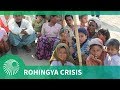 The transnational militant islamist response to the Rohingya crisis in Myanmar