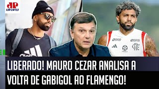 "SEM VITIMIZAÇÃO! O que o Gabigol TEM QUE FAZER AGORA é..." Mauro Cezar FALA da VOLTA ao Flamengo!