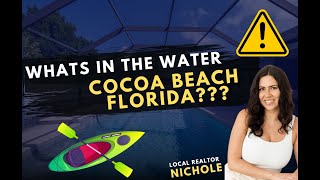 WHAT IS BIOLUMINESCENCE?? | SEASONAL BREVARD COUNTY EVENT