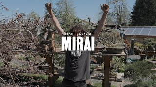 Somedays at Mirai: All Day Dig