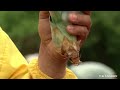 Middle of video