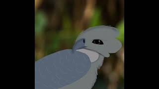 Harpy eagle speed paint