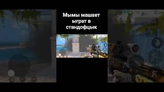 #standoff #memes #мем #chickengun #chickengun #чикенган #хзчтоснимать #чеписать #мемас #сваты6 #мемы