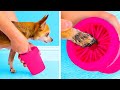 SMART GADGETS FOR DIRTY PAWS 🐾 || Cute And Funny Pet Hacks That Will Make Your Life Easier