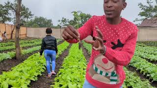 kutana na Mgogo classic mwanamziki wa kizazi kipya anaefanya kilimo, kilimohalisi