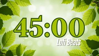 45 MINUTE SPRING 🌱 COUNTDOWN TIMER | LOFI BEATS 🎧 | STUDYING / CLASSROOM TIMER / CLEANING