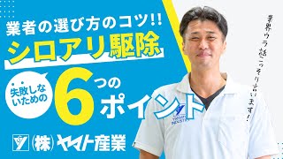 【シロアリ駆除業者の選び方】失敗しない6つのポイントを解説!
