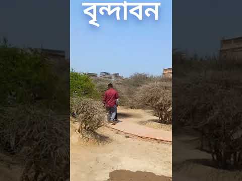 বৃন্দাবন ধাম||❤ নিধু বন❤|| রাধা কৃষ্ণ||brindavan dham|radha krishna  #brindavan #viral