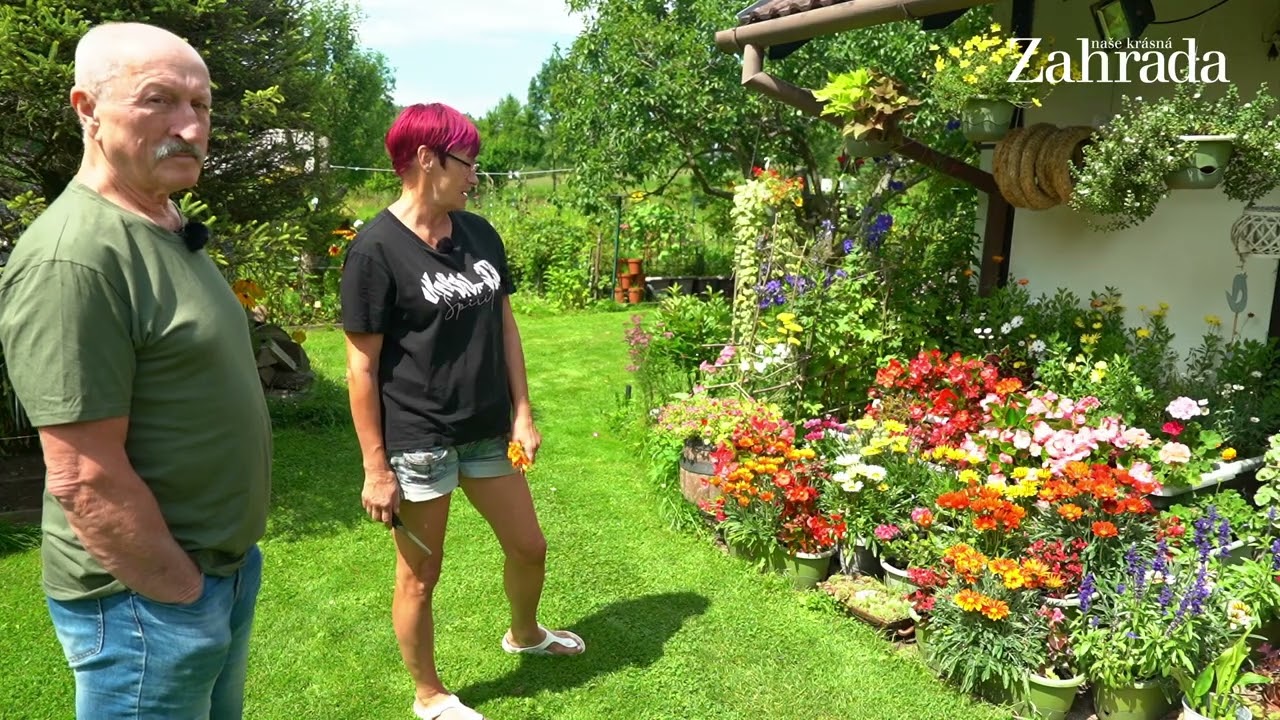 Nejkrásnější květiny na zahradě hvězdy Receptáře: Oldřich Navrátil prozradil překvapivý trik