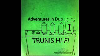 Trunis Hi-Fi -  Autum Dub digital cut- Adventures in Dub Album