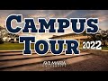 Ave maria university campus tour  newman guide catholic university  amu