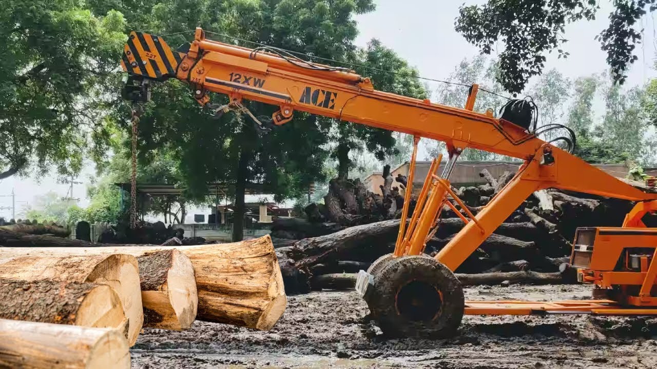 ACE Crane Wood Lifting | ACE Crane in Action 🔥🔥 