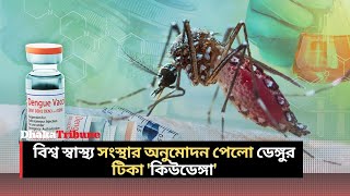 বিশ্ব স্বাস্থ্য সংস্থার অনুমোদন পেলো ডেঙ্গুর টিকা কিউডেঙ্গা | Dengue Vaccine | Dhaka Tribune