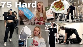 THE 75 HARD CHALLENGE DAY 12 Upper Body Workout, Cellulite Talk & Protein Haul