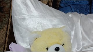 sleepytime i feel asleep in a lode of laundry