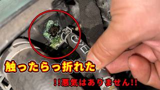 軽く触っただけなのに折れる最悪のシナリオ！！