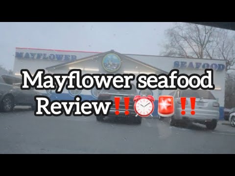 Mayflower Greenville: Menu That'll Change Your Seafood Life