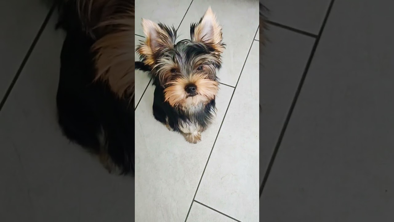 Good Morning my Friends 