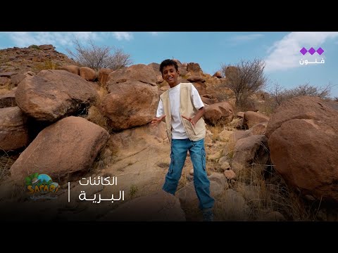 تميم في عيش سفاري أسرار الكائنات البرية يخبرنا عنها تميم من وسط البراري