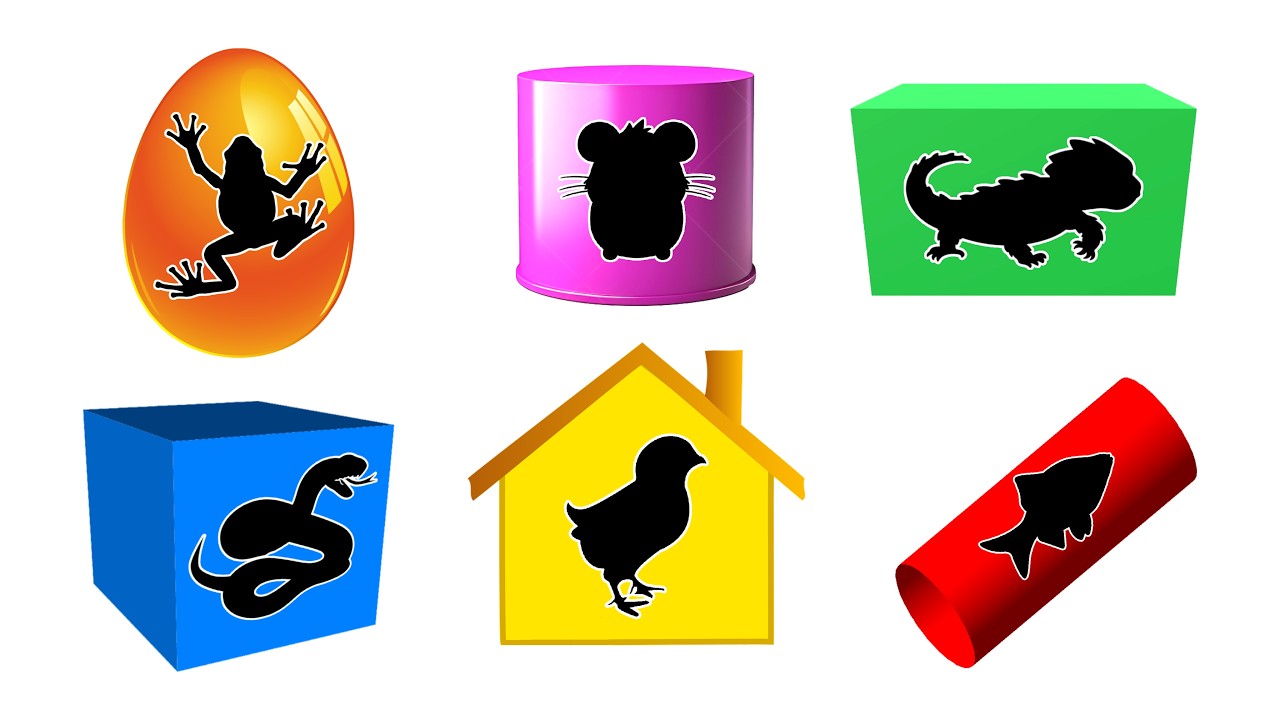 Pets : Crocodile Skink, Chick, Ballpython Snake, Pacman Frog, Hamster, Rainbow Fish