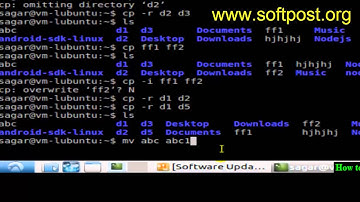 How to rename a file or directory in Solaris