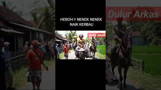 Heboh Nenek Nenek Naik Kerbau reels