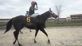 Sofster & jockey Dexter Haddock cruise by the front runners to win