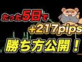 【5日で217pips】1分足RSIスキャルピング手法!シンプル手法で資金が増えていく!