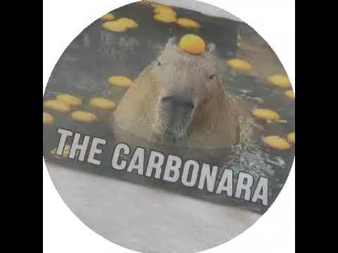 Капибара с апельсинами. футболка с принтом - YouTube