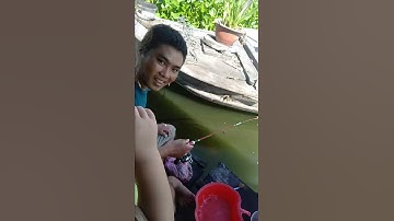 Cần ikada phê cả người