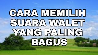 CARA MEMILIH SUARA WALET YANG PALING BAGUS