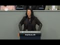 Linker Gesinnungsterror spaltet unsere Gesellschaft! Birgit Bessin - AfD-Fraktion im Bundestag