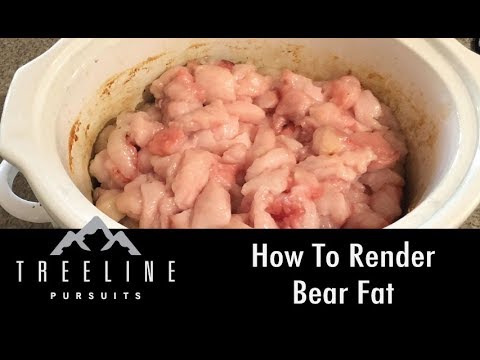 Video: Bear Fat - Instructions For Use, Indications, Doses