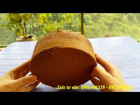 Video BÁN MÙN DỪA ÉP KHỐI - HƯỚNG DẪN CÁCH SỬ DỤNG MÙN DỪA... - youtube
