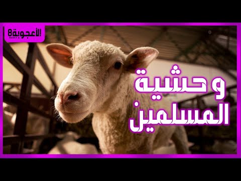 وحشية المسلمين ورحمة الغرب لماذا يذبحون الحيوانات ويعدبونهم إكتشافات