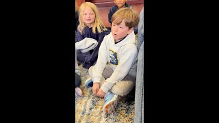 Bullis 2025 Year review