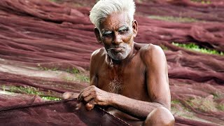 Bangladesh Explored- Fastest Growing South Asian Economy #explified | Country Facts