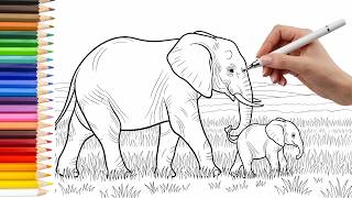 Elephant Coloring Page | Coloring Book Animals
