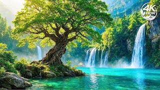 Music Therapy 🌿 Nervous System Reset, Anxiety Relief, Emotional Healing & Deep Relaxation
