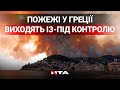 +46 градусів у Греції: люди тікають із домів, а свійських тварин випускають на волю