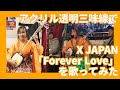 【アクリル透明三味線で】X JAPAN "Forever Love" covered by Yuzu