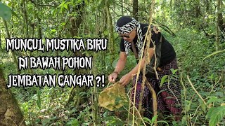 SURROUNDED BY ASTRAL ENTITIES || BLUE MYSTICAL STONE APPEARS UNDER THE CANGAR BRIDGE TREE ?!