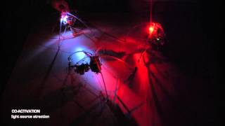 ROBOTIC PROTOTYPES (INTERACTION)