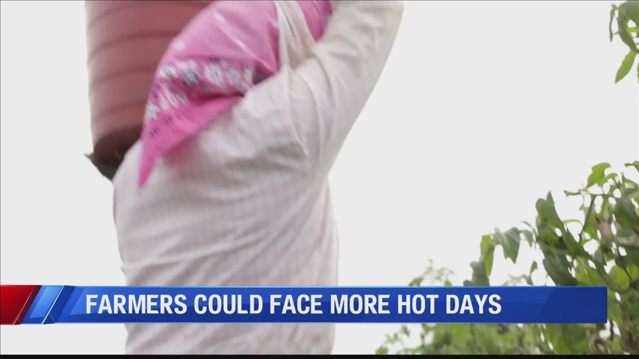 Experts warn of potentially unsafe conditions for farmers