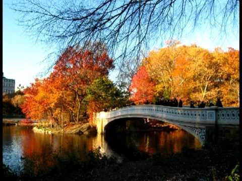 String Quartet "del Gesu" - Autumn Leaves (Les feu...