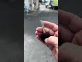 If you check the gas stations in town, you’ll probably find keys on every roof.