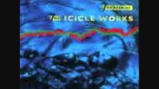 icicle scream works whisper fly birds