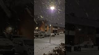 Download Lagu First snow after  a couple of days MP3