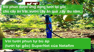 Đầu tưới phun tại gốc SuperNet - Netafim - Khang Thịnh - irritech